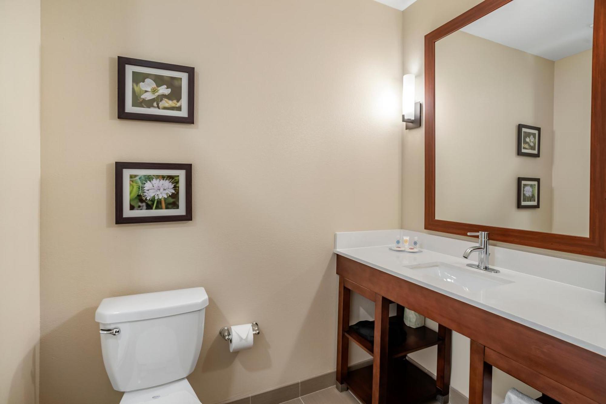 Comfort Inn & Suites Winchester Δωμάτιο φωτογραφία