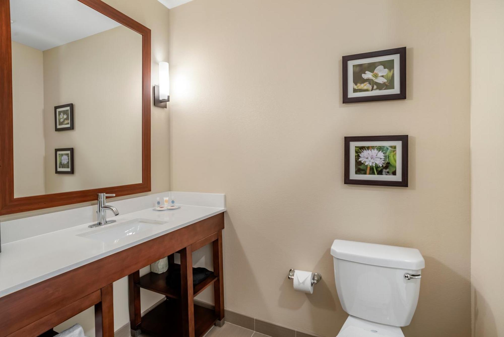 Comfort Inn & Suites Winchester Δωμάτιο φωτογραφία